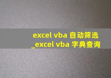 excel vba 自动筛选_excel vba 字典查询